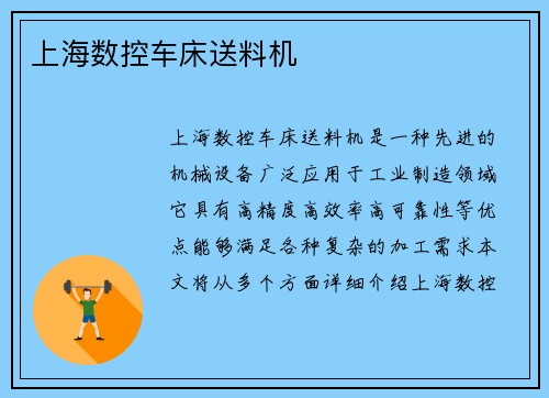 上海数控车床送料机